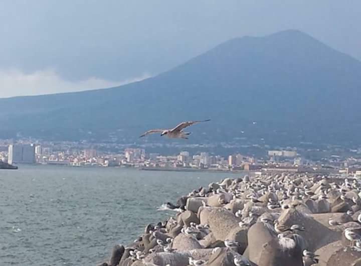 Casa Vacanza Nonna Antonietta Castellammare di Stabia Exteriér fotografie